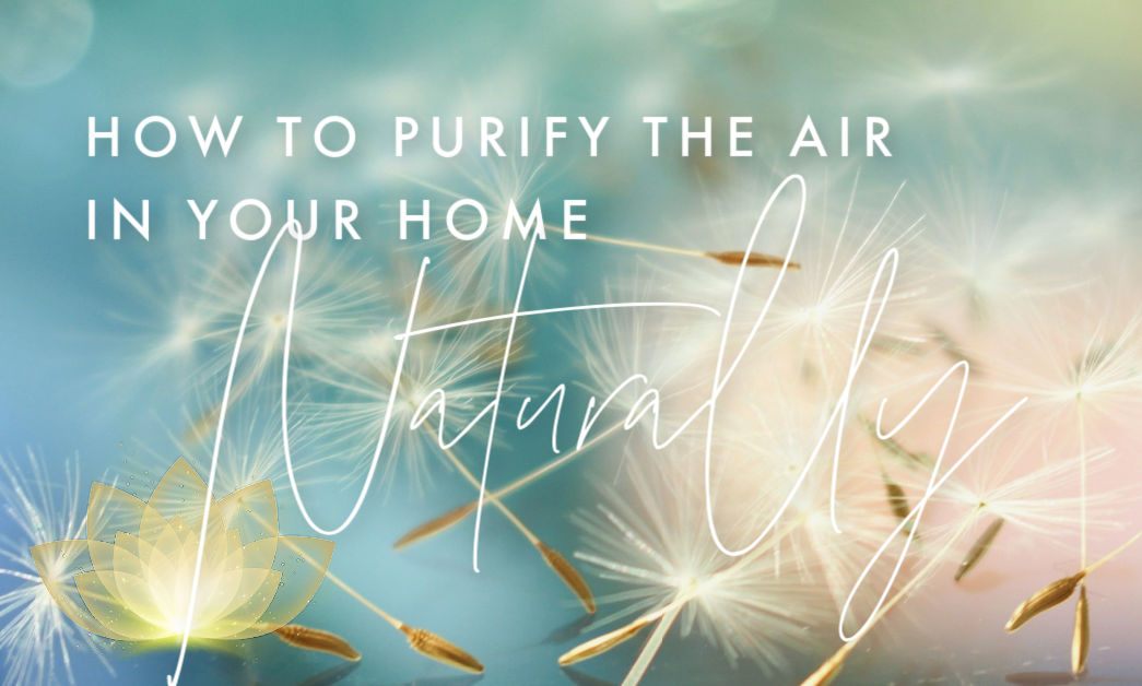 How to Purify the Air in Your Home Naturally