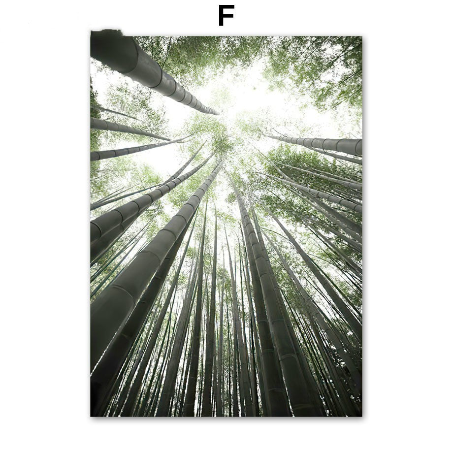 Natural forest canvas wall art
