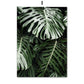 Natural forest canvas wall art